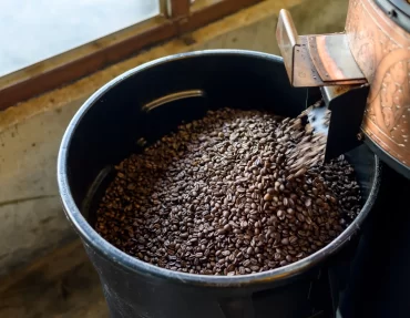 coffee-beans-2023-11-27-05-26-31-utc-min
